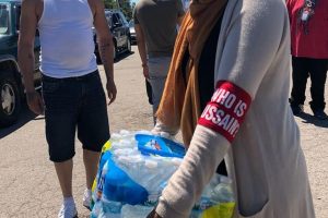 WIH Michigan 3 300x200